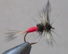 Dry Spruce