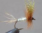 Fall River Special