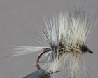 Badger Spider