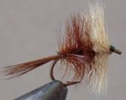 Brown Bivisible
