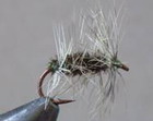 Griffiths Gnat