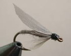 Grey Tent W. Caddis