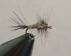 Midge Dun