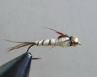 Walker Mayfly