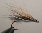 Black Nose Dace