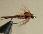 Pheasant Tail