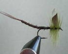 Olive Quill Extended Body Mayfly