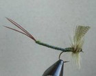 Olive Gray Extended Body Mayfly