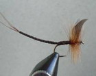 Ginger Quill Extended Body Mayfly