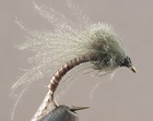 C.D.C. LOOPWING EMERGER GREY