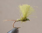 C.D.C. QUILL OLIVE