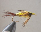STONEFLY CREEPER