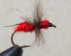 Red Fur Flying Ant