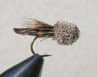 Letort Hopper
