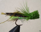 Green Cicada