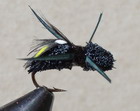 Harveys Bettle