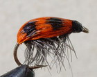 Lady Bug