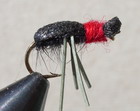 Foam Bettle