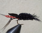Immature Cricket