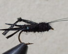 Shenks Sinking Cricket
