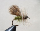 SPENT PARTRIDGE CADDIS