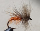 DELTA WING CADDIS