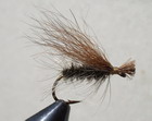 SUMMER CADDIS