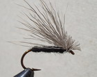 MICRO SUSPENDER CADDIS