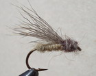 STILL BORN ELK CADDIS