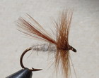 FLUTTERING CADDES, GINGER