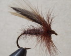 SLOW WATER CADDIS, BROWN