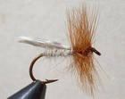 KINGS RIVER CADDIS