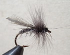 DUN CADDIS