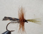 PENOBSCOT CADDIS