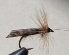 CO'S CADDIS
