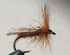 FLAT WING CADDIS