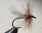 DELTA CADDIS