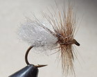 SKITTERING CADDIS