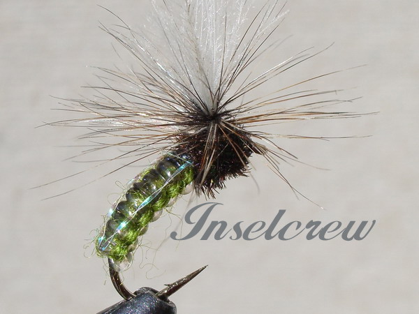 WOVEN C.D.C. KLINKHAMERS OLIVE