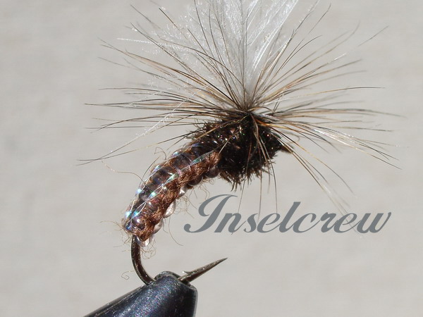 WOVEN C.D.C. KLINKHAMERS BROWN