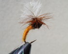 C.D.C FLASH KLINKHAMERS ORANGE