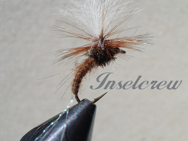 C.D.C FLASH KLINKHAMERS BROWN