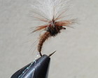 C.D.C FLASH KLINKHAMERS BROWN