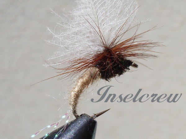 C.D.C FLASH KLINKHAMERS TAN