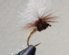 C.D.C FLASH KLINKHAMERS TAN