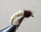 Scud Caddis Pupa Cream