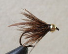 Caddis Pupa Brown