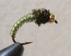 Caddis Larve Olive