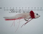 Irresistible Deerhair Diver Red and White