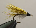 Quill Gorgon